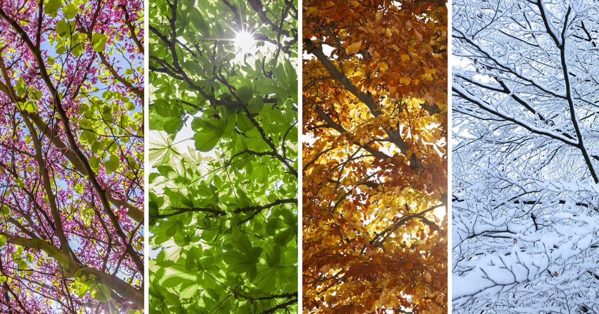 William Joseph Making EVs climate proof with weather resilience