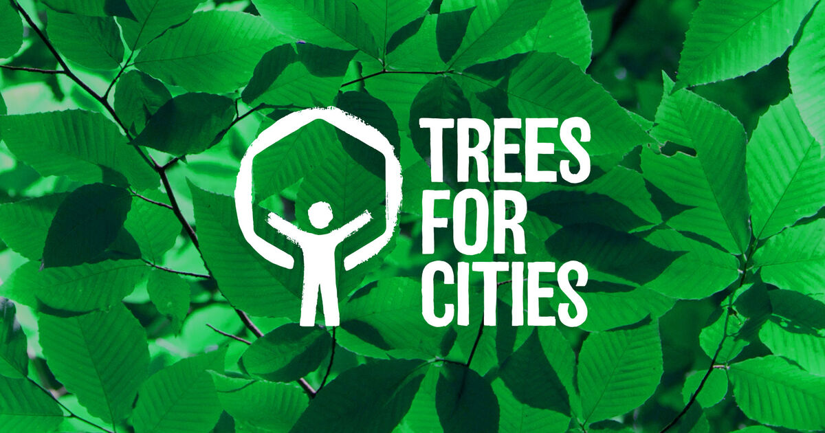 Trees for Cities Growing this treeplanting charity’s mission, without